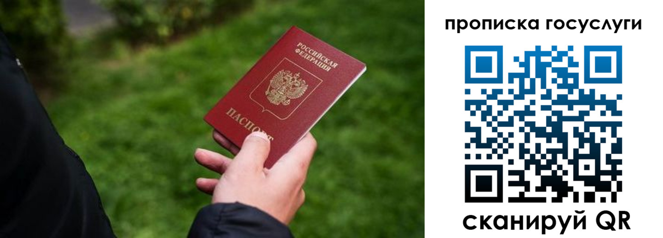 прописка для работы в Александрове